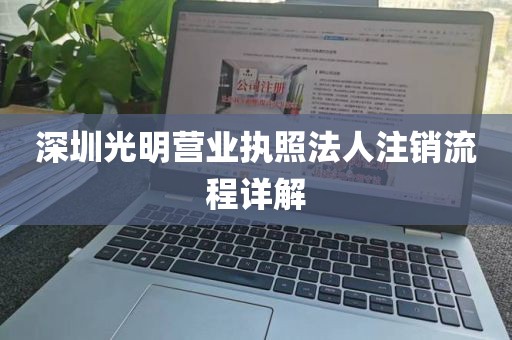深圳光明营业执照法人注销流程详解
