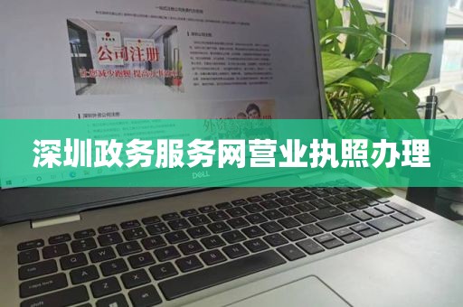 深圳政务服务网营业执照办理
