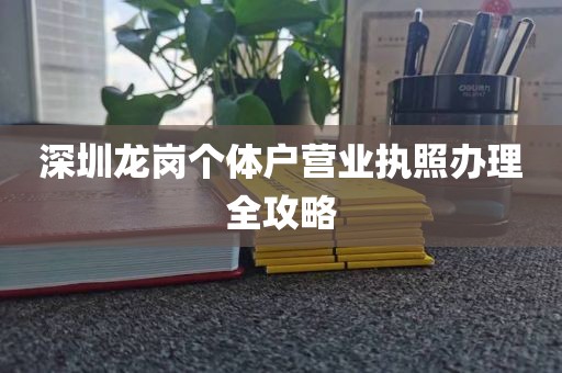 深圳龙岗个体户营业执照办理全攻略