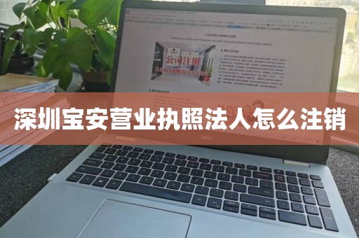 深圳宝安营业执照法人怎么注销