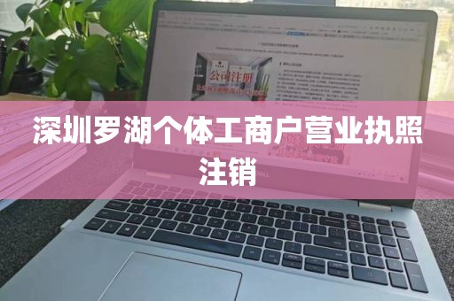 深圳罗湖个体工商户营业执照注销