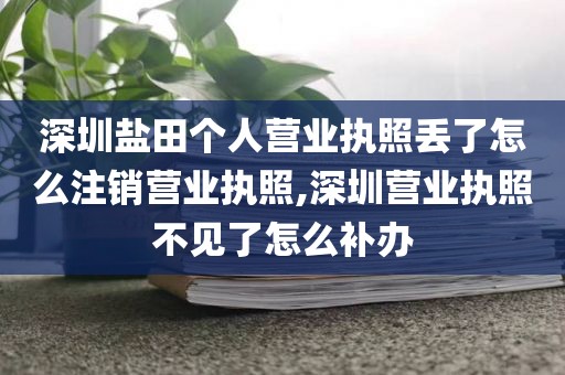 深圳盐田个人营业执照丢了怎么注销营业执照,深圳营业执照不见了怎么补办