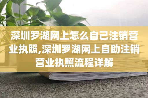 深圳罗湖网上怎么自己注销营业执照,深圳罗湖网上自助注销营业执照流程详解