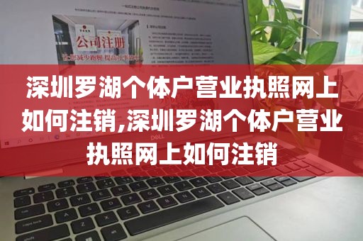 深圳罗湖个体户营业执照网上如何注销,深圳罗湖个体户营业执照网上如何注销