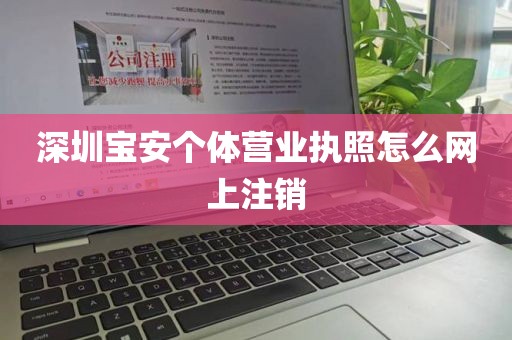 深圳宝安个体营业执照怎么网上注销