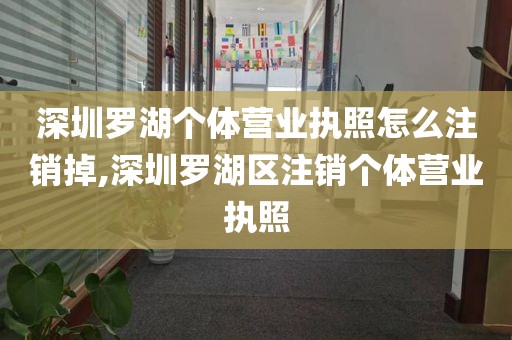 深圳罗湖个体营业执照怎么注销掉,深圳罗湖区注销个体营业执照