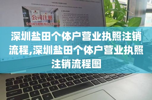深圳盐田个体户营业执照注销流程,深圳盐田个体户营业执照注销流程图