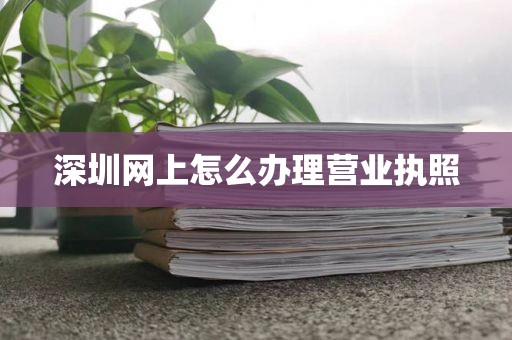 深圳网上怎么办理营业执照