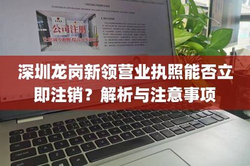 深圳龙岗新领营业执照能否立即注销？解析与注意事项