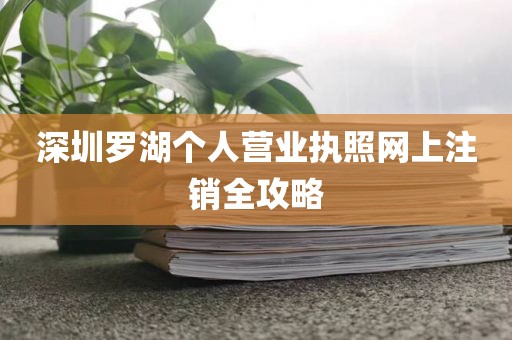 深圳罗湖个人营业执照网上注销全攻略
