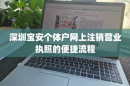 深圳宝安个体户网上注销营业执照的便捷流程