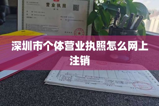 深圳市个体营业执照怎么网上注销