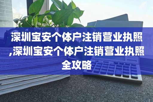 深圳宝安个体户注销营业执照,深圳宝安个体户注销营业执照全攻略