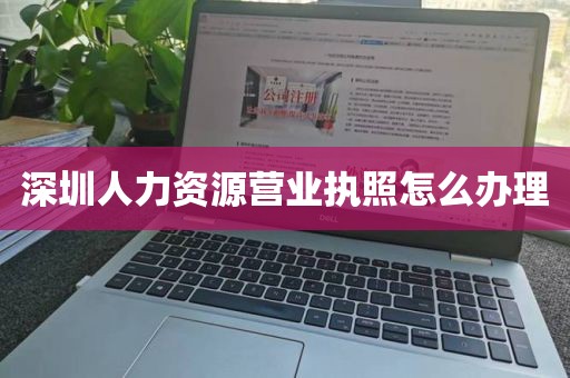 深圳人力资源营业执照怎么办理