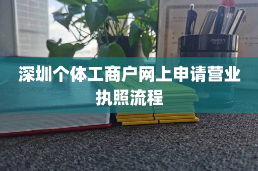 深圳个体工商户网上申请营业执照流程