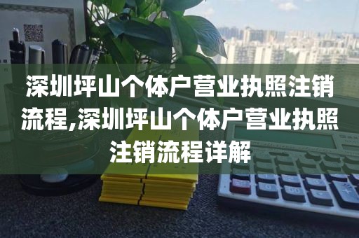 深圳坪山个体户营业执照注销流程,深圳坪山个体户营业执照注销流程详解