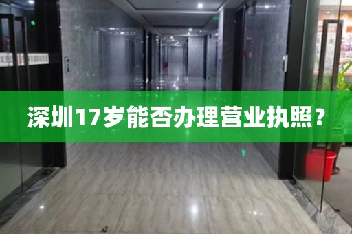 深圳17岁能否办理营业执照？