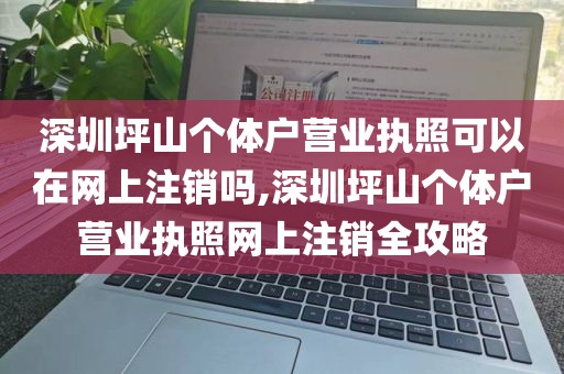 深圳坪山个体户营业执照可以在网上注销吗,深圳坪山个体户营业执照网上注销全攻略