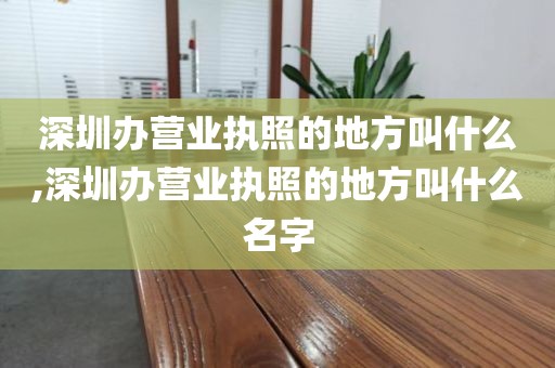 深圳办营业执照的地方叫什么,深圳办营业执照的地方叫什么名字