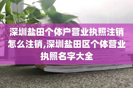 深圳盐田个体户营业执照注销怎么注销,深圳盐田区个体营业执照名字大全