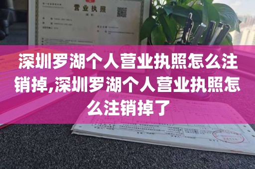 深圳罗湖个人营业执照怎么注销掉,深圳罗湖个人营业执照怎么注销掉了