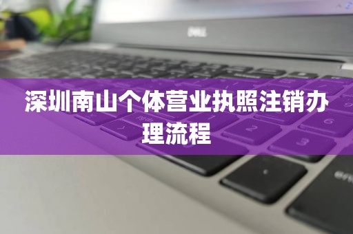 深圳南山个体营业执照注销办理流程
