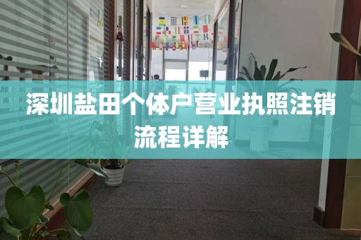 深圳盐田个体户营业执照注销流程详解