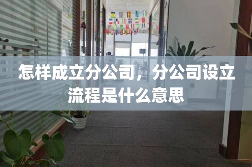 怎样成立分公司，分公司设立流程是什么意思