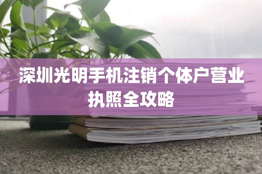 深圳光明手机注销个体户营业执照全攻略