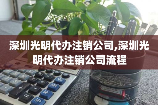深圳光明代办注销公司,深圳光明代办注销公司流程