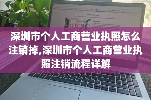 深圳市个人工商营业执照怎么注销掉,深圳市个人工商营业执照注销流程详解