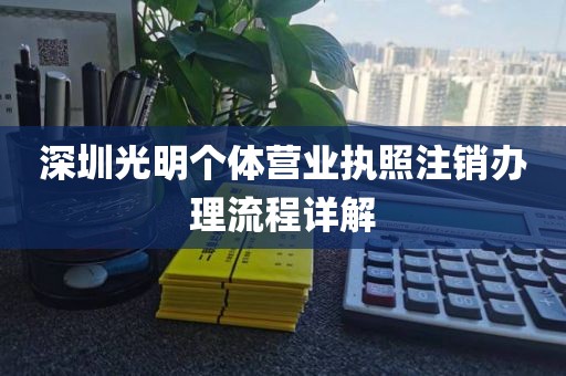 深圳光明个体营业执照注销办理流程详解
