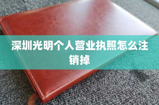 深圳光明个人营业执照怎么注销掉