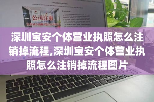 深圳宝安个体营业执照怎么注销掉流程,深圳宝安个体营业执照怎么注销掉流程图片