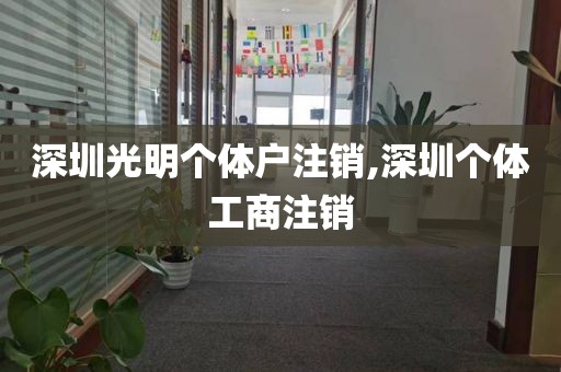 深圳光明个体户注销,深圳个体工商注销