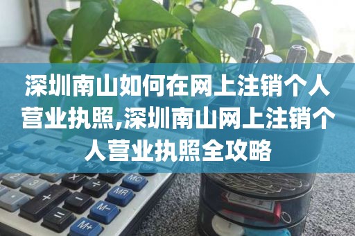 深圳南山如何在网上注销个人营业执照,深圳南山网上注销个人营业执照全攻略