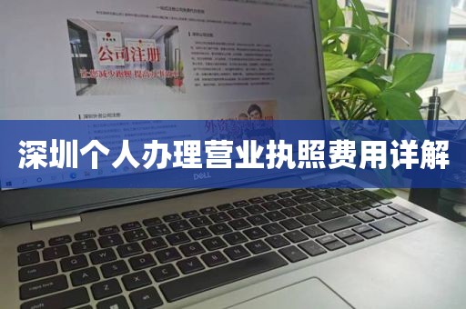深圳个人办理营业执照费用详解