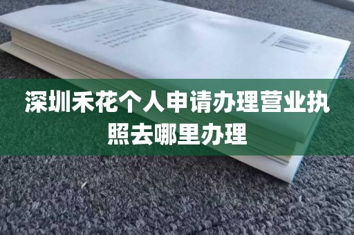 深圳禾花个人申请办理营业执照去哪里办理