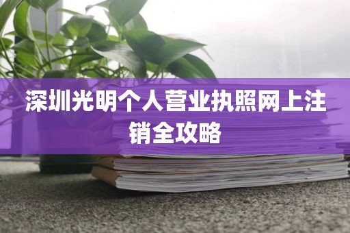 深圳光明个人营业执照网上注销全攻略