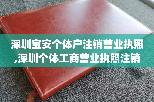 深圳宝安个体户注销营业执照,深圳个体工商营业执照注销
