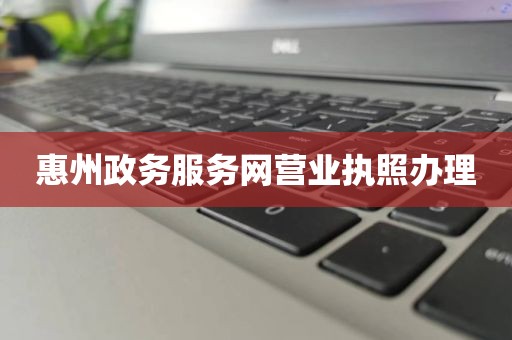 惠州政务服务网营业执照办理