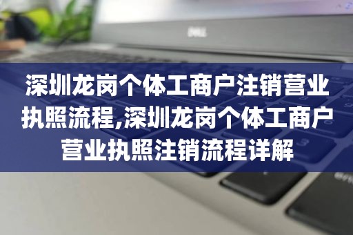 深圳龙岗个体工商户注销营业执照流程,深圳龙岗个体工商户营业执照注销流程详解