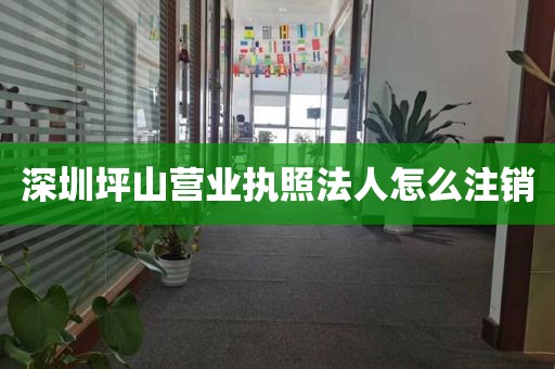 深圳坪山营业执照法人怎么注销