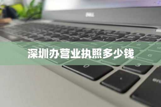 深圳办营业执照多少钱