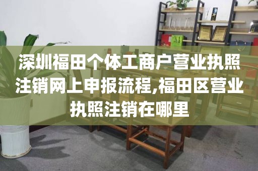 深圳福田个体工商户营业执照注销网上申报流程,福田区营业执照注销在哪里