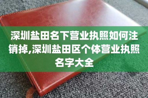 深圳盐田名下营业执照如何注销掉,深圳盐田区个体营业执照名字大全