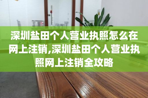 深圳盐田个人营业执照怎么在网上注销,深圳盐田个人营业执照网上注销全攻略