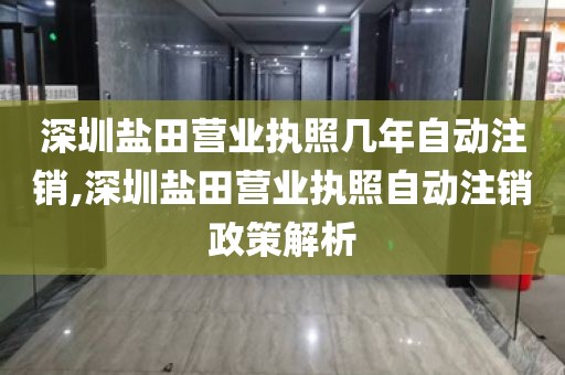 深圳盐田营业执照几年自动注销,深圳盐田营业执照自动注销政策解析