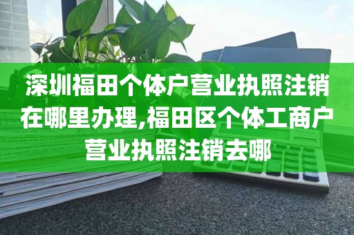 深圳福田个体户营业执照注销在哪里办理,福田区个体工商户营业执照注销去哪