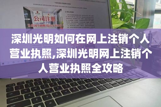 深圳光明如何在网上注销个人营业执照,深圳光明网上注销个人营业执照全攻略